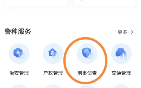 微信支付宝无犯罪记录证明可以线上办理吗 无犯罪记录证明办理方法