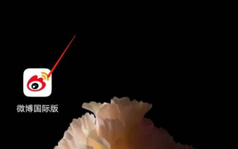 微博国际版怎么看个人资料 微博国际版看个人资料方法介绍