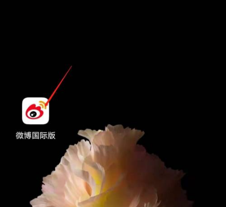 微博国际版怎么看个人资料 微博国际版看个人资料方法介绍